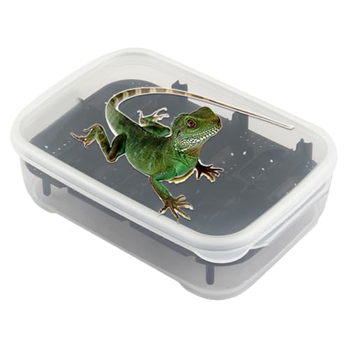 Reptilien -Terrarium -Lebensraum - Glasgehäuse, vordere Öffnung, Bildschirmlüftung | Durral Amphibian Vivarium Cage, ideal für Geckos, Schlangen, Schildkröten, Eidechsen, Chamäleons, Frösche, Insekten Reptilien -Terrarium -Lebensraum - Glasgehäuse, vordere Öffnung, Bildschirmlüftung | Durral Amphibian Vivarium Cage, ideal für Geckos, Schlangen, Schildkröten, Eidechsen, Chamäleons, Frösche, Insekten von yztju