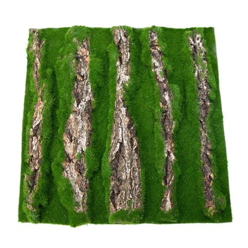 Terrarium Background Cork - Wanddekoration aus Reptilienrinde mit Moos | natürlich aussehende Lebensraumdekoration für Geckos, Eidechsen, Frösche, Schildkröten und Chamäleons | Vivari-Hintergrund Terrarium Background Cork - Wanddekoration aus Reptilienrinde mit Moos | natürlich aussehende Lebensraumdekoration für Geckos, Eidechsen, Frösche, Schildkröten und Chamäleons | Vivari-Hintergrund von yztju