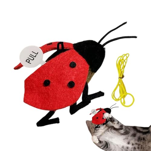 yztju Cat Sound Toy, Katzenneckspielzeug | Schöner Sound Ladybug Catnip Ball | Vibrationsempfindung Light Weight Teaser Game Linderung Langeweile für Innenkätzchenpuppen von yztju