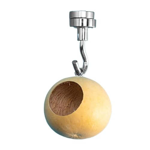 yztju Springspinnengehege, Springspinnennest - Springspinne mit Portable,Springspinnengehege aus natürlichen Kürbissen für Springspinnen yztju Springspinnengehege, Springspinnennest - Springspinne mit Portable,Springspinnengehege aus natürlichen Kürbissen für Springspinnen von yztju