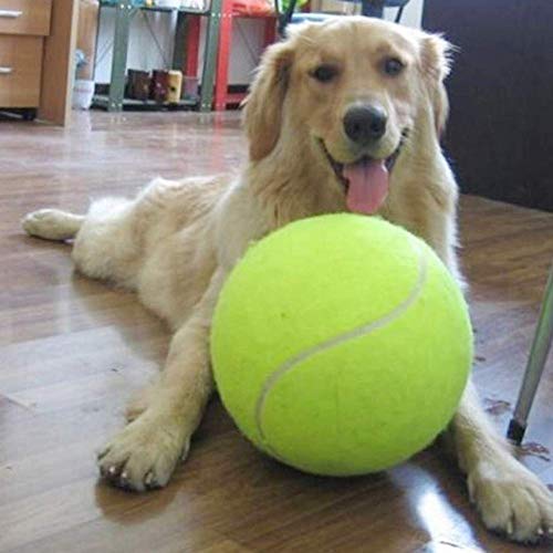 zNLIgHT Tennisball für Hunde, 24 cm, strapazierfähig, aufblasbar von zNLIgHT