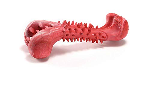 2 Stück Hundespielzeug zum Kauen Hundeknochen-Zahnbürstenstift - Langlebiger, mutterbissbeständiger Backenzahnstift (rot/blau/schwarz) von zaizai
