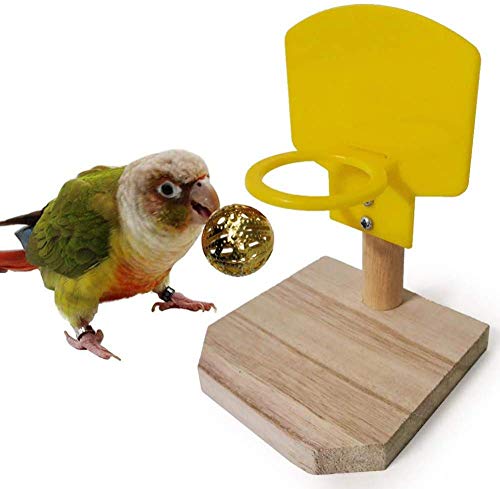 zaizai Papagei Vogel Basketball Spielzeug Set, Birdie Basketball Hoop Bildungsentwicklungsspielzeug mit Kauball Futterspielzeug für Vogel Papagei Ara von zaizai