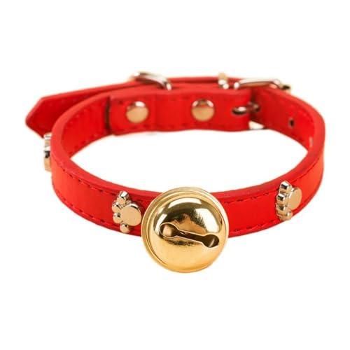 Hundehalsband mit Pfotenabdruck, Legierung, personalisierbar, mit Schnellverschluss, Handhalte-Seil, Haustierzubehör von zaoalife