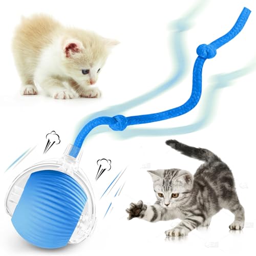 zeonmiehu Interaktives Katzenballspielzeug, 2025 Verbessertes Automatisches Katzenspielzeug für gelangweilte Indoor-Katzen, Smart Moving Cats Toy Bälle, 360°Smart Rolling Kitty Ball Spielzeug (Blau) zeonmiehu Interaktives Katzenballspielzeug, 2025 Verbessertes Automatisches Katzenspielzeug für gelangweilte Indoor-Katzen, Smart Moving Cats Toy Bälle, 360°Smart Rolling Kitty Ball Spielzeug (Blau) von zeonmiehu