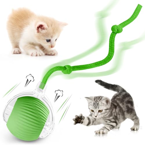 zeonmiehu Interaktives Katzenballspielzeug, 2025 Verbessertes Automatisches Katzenspielzeug für gelangweilte Indoor-Katzen, Smart Moving Cats Toy Bälle, 360°Smart Rolling Kitty Ball Spielzeug (Grün) von zeonmiehu