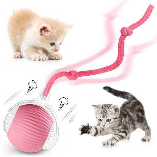 zeonmiehu Interaktives Katzenballspielzeug, 2025 Verbessertes Automatisches Katzenspielzeug für gelangweilte Indoor-Katzen, Smart Moving Cats Toy Bälle, 360°Smart Rolling Kitty Ball Spielzeug (Rosa) zeonmiehu Interaktives Katzenballspielzeug, 2025 Verbessertes Automatisches Katzenspielzeug für gelangweilte Indoor-Katzen, Smart Moving Cats Toy Bälle, 360°Smart Rolling Kitty Ball Spielzeug (Rosa) von zeonmiehu