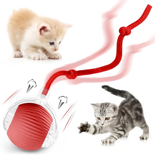 zeonmiehu Interaktives Katzenballspielzeug, 2025 Verbessertes automatisches Katzenspielzeug für gelangweilte Indoor-Katzen, intelligente bewegliche Katzen, Spielzeugbälle, 360° Smart Rolling Kitty zeonmiehu Interaktives Katzenballspielzeug, 2025 Verbessertes automatisches Katzenspielzeug für gelangweilte Indoor-Katzen, intelligente bewegliche Katzen, Spielzeugbälle, 360° Smart Rolling Kitty von zeonmiehu