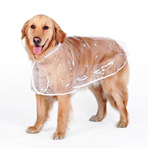 zhbotaolang Cute Dog Transparent wasserdichte Regenmantel Jacke Regenbekleidung(2XL) von zhbotaolang