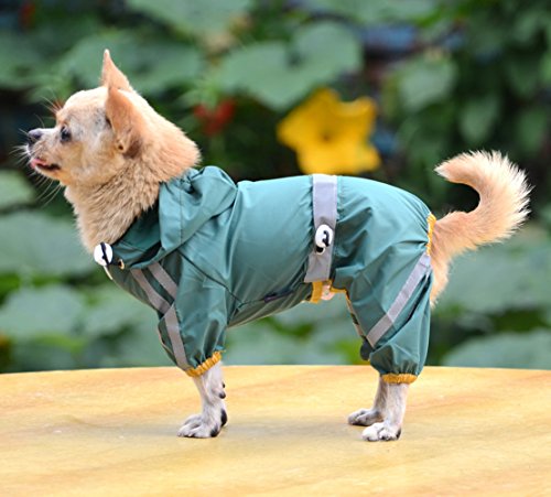 zhbotaolang Einschicht Reflektierende Hunde Regenmantel wasserdichte Jacke Reflektierende Sicherheit Hund Kleidung Haustier Regenmantel(Grün L) von zhbotaolang