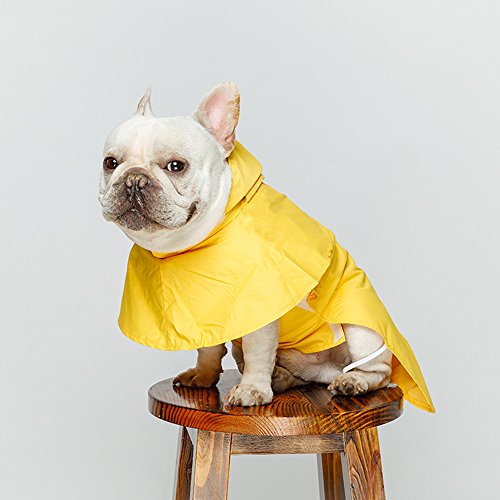 zhbotaolang Haustier Regenmantel wasserdichte Außenkleidung für Kleine Hunde S-XXL(Gelb) von zhbotaolang