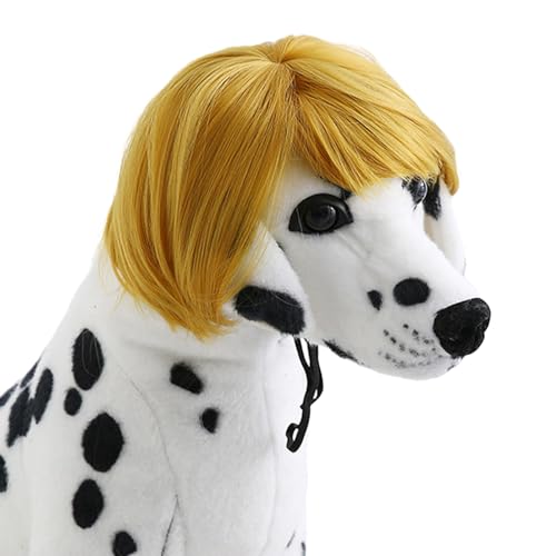 zhbotaolang Hund Katze Lustige Perücken Cosplay Haarschmuck für Haustiere Kopfbedeckung Synthetische Haustierperücke Kopfbedeckungen für Halloween,Blond Perücke von zhbotaolang