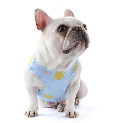 zhendehenziyou Hunde-Shirts, bedruckte Kleidung, niedlicher Sommer, kühlender Mantel, T-Shirts, cooles Welpen-Shirt, weiches Hunde-Sweatshirt für Haustiere, Hunde, Katzen, Outdoor (Größe XL, Blau) von zhendehenziyou
