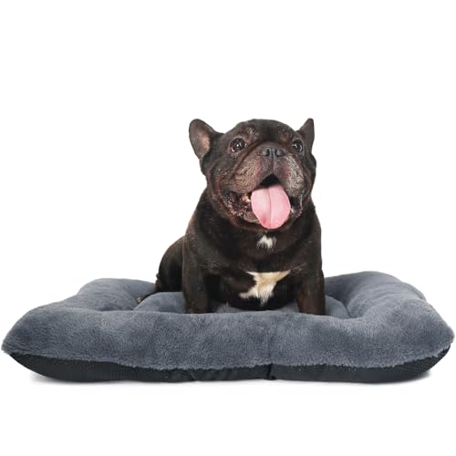 Hundekäfigbett, waschbar, extra weich, für Hundekäfige, 61 x 45 cm, mit Reißverschluss, bequeme und flauschige Hundebetten für kleine Hunde, Kissenmatte mit rutschfester Unterseite, hilft von zihapgpzp