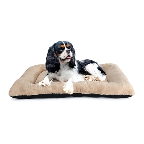 Hundekäfigbett für kleine Hunde, passend für Hundekäfige aus Metall, ultraweiches Hundebett für Käfige, 61 x 45 cm, waschbar mit rutschfester Unterseite, für 61 cm Käfige, flache Welpenmatratze, Hundekäfigbett für kleine Hunde, passend für Hundekäfige aus Metall, ultraweiches Hundebett für Käfige, 61 x 45 cm, waschbar mit rutschfester Unterseite, für 61 cm Käfige, flache Welpenmatratze, von zihapgpzp