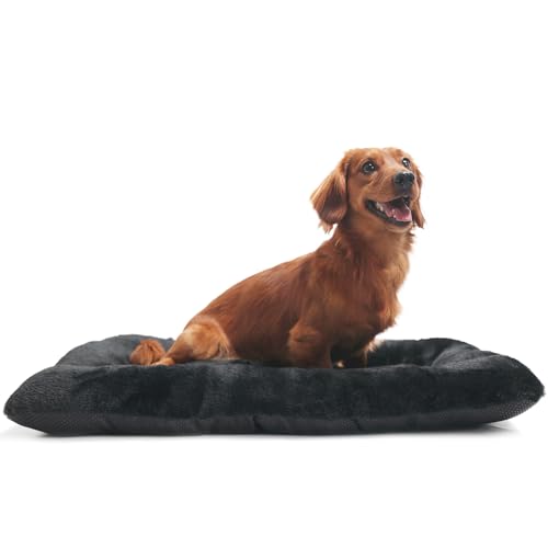 zihapgpzp Hundebettunterlage für Hundehütte oder Käfig, waschbar, weich, gemütlich, für mittelgroße Hunde bis zu 13,6 kg, Haustier-Schlafmatratze, Kissen mit Anti-Rutsch, 73,6 x 45,7 cm, Schwarz zihapgpzp Hundebettunterlage für Hundehütte oder Käfig, waschbar, weich, gemütlich, für mittelgroße Hunde bis zu 13,6 kg, Haustier-Schlafmatratze, Kissen mit Anti-Rutsch, 73,6 x 45,7 cm, Schwarz von zihapgpzp