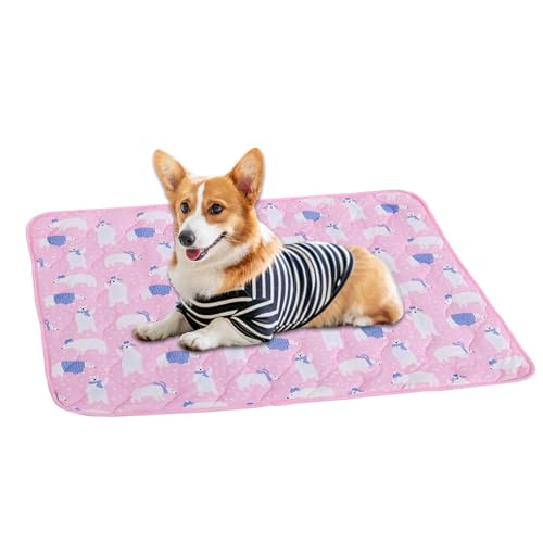 zjhukfmc Hundekühlmatte, Haustierkühlmatte, 50x40cm Einfach Waschbares Portables Bettzubehör Decke Für Welpen Katzen Pelzige Freunde Innen zjhukfmc Hundekühlmatte, Haustierkühlmatte, 50x40cm Einfach Waschbares Portables Bettzubehör Decke Für Welpen Katzen Pelzige Freunde Innen von zjhukfmc