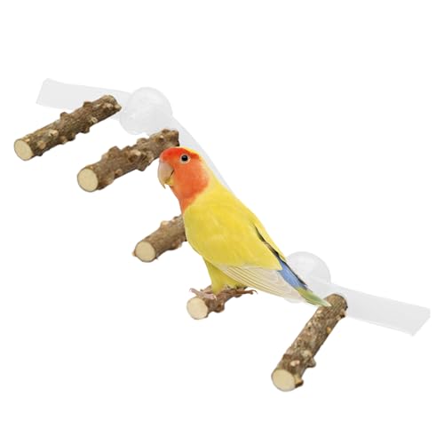 zjhukfmc Vogel Sitzstange | Nymphensittich Kletterleiter Mit Saugnäpfen,Multifunktionale Saugnapf-Sitzstange für Papageienkäfig – für Wellensittiche, Nymphensittiche und Conures von zjhukfmc