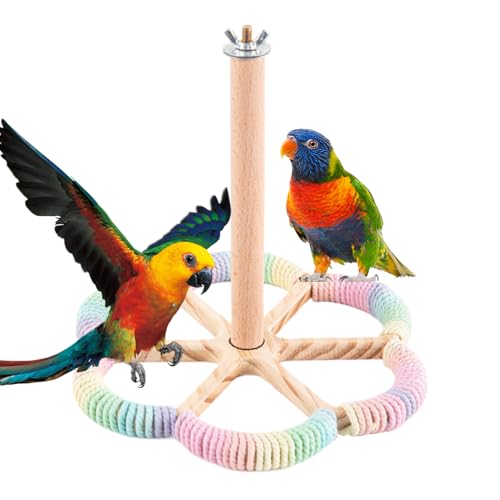 zjhukfmc Vogelsitzstange | Bereicherungs Dreh Spielstand | Interaktives Spielzeug Zur Beschäftigung Für Kleine Und Mittelgroße Vögel Kanarienvögel Wellensittiche Unzertrennliche zjhukfmc Vogelsitzstange | Bereicherungs Dreh Spielstand | Interaktives Spielzeug Zur Beschäftigung Für Kleine Und Mittelgroße Vögel Kanarienvögel Wellensittiche Unzertrennliche von zjhukfmc