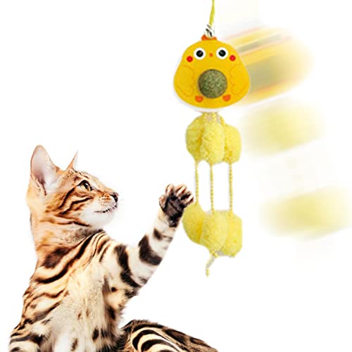 Tür-Katzenspielzeug | Entzückende hängende Tür Katzenspielzeug Katzenminze mit elastischem Seil und Haken, verstellbare, einziehbare Katzenschaukel, Haustierzubehör für Katzenliebhaber Znet-au von EELHOE