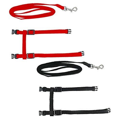 Hundegeschirr aus Nylon, für Kätzchen, Kaninchen, Welpen, Spaziergänge, Kätzchen, mit Leine, verstellbares Katzengeschirr, 2 Stück Hundegeschirr aus Nylon, für Kätzchen, Kaninchen, Welpen, Spaziergänge, Kätzchen, mit Leine, verstellbares Katzengeschirr, 2 Stück von zoneseeQB