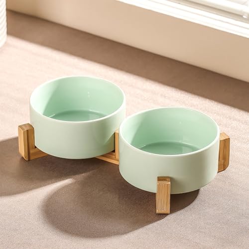 Ceramic Dog Bowl Elevated Set, Elevated Dog Bowls with Stand for Food & Water, Ceramic Dogs Bowls Elevateds for Small Medium Dogs and Home Décor 980 ML (Sky Blue,S) von zoocco