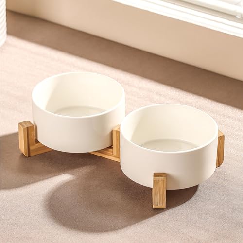 Ceramic Dog Bowl Elevated Set, Elevated Dog Bowls with Stand for Food & Water, Ceramic Dogs Bowls Elevateds for Small Medium Dogs and Home Décor 980 ML (White,S) von zoocco