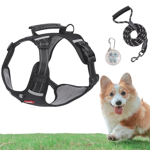 Chewie Cozy Harness, Getchewie Chewie Cozy Harness, Adjustable Breathable Comfortable Pet Chest with Reflective Strips and Collar Led Light for Small Medium Large Dogs (Black,L) von zoocco