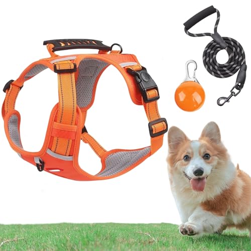 Chewie Cozy Harness, Getchewie Chewie Cozy Harness, Adjustable Breathable Comfortable Pet Chest with Reflective Strips and Collar Led Light for Small Medium Large Dogs (Orange,M) von zoocco