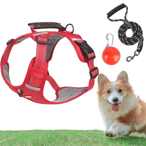 Chewie Cozy Harness, Getchewie Chewie Cozy Harness, Adjustable Breathable Comfortable Pet Chest with Reflective Strips and Collar Led Light for Small Medium Large Dogs (Red,M) von zoocco