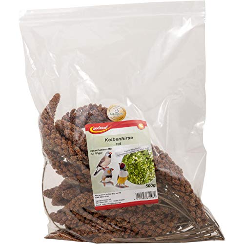 zookauf Vogel Snack Kolbenhirse rot 500 g zookauf Vogel Snack Kolbenhirse rot 500 g von zookauf
