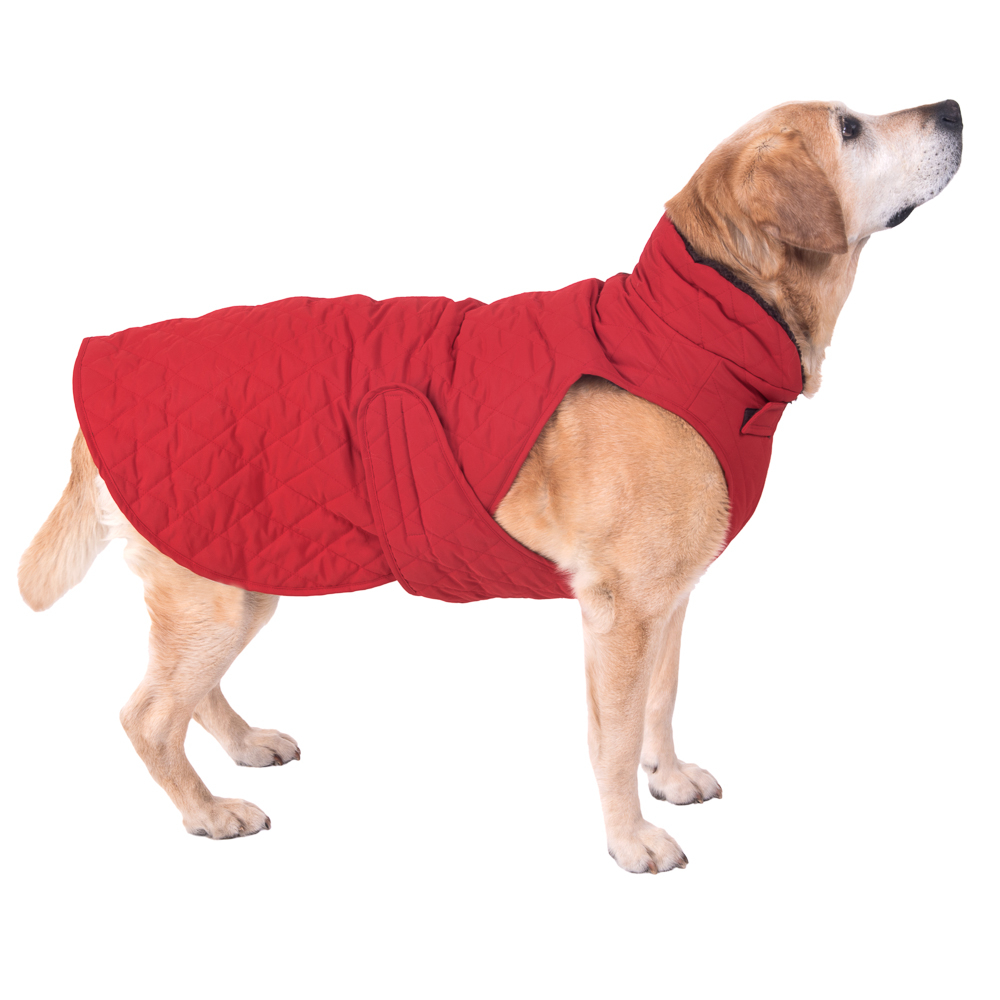 Hundemantel Steppmuster - ca. 70 cm Rückenlänge Hundemantel Steppmuster - ca. 70 cm Rückenlänge von zooplus Exclusive