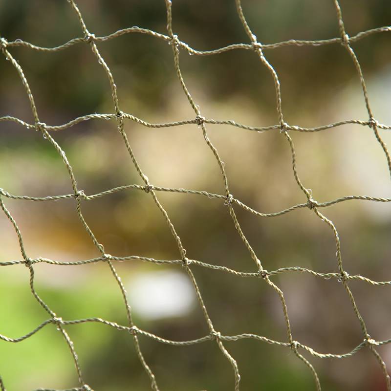 Katzenschutznetz drahtverstärkt - 6 x 3 m von zooplus Exclusive