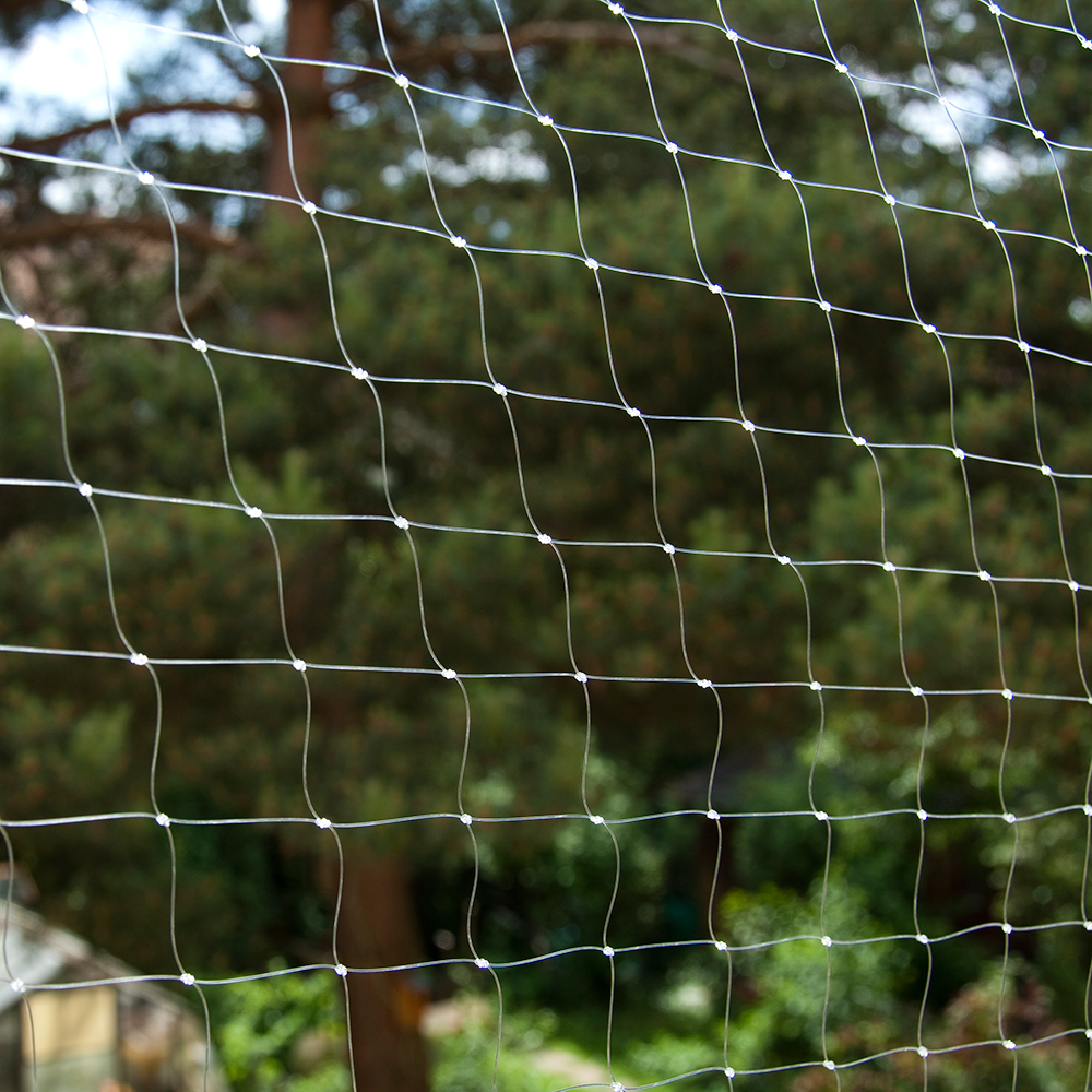 Katzennetz transparent - 6 x 3 m Katzennetz transparent - 6 x 3 m von zooplus Exclusive