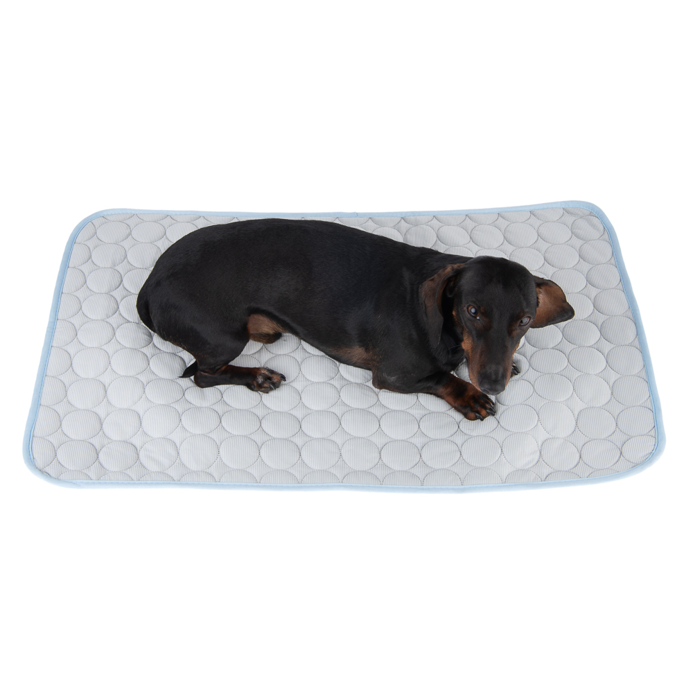 Kühldecke Bubbles - L 90 x B 50 cm Kühldecke Bubbles - L 90 x B 50 cm von zooplus Exclusive