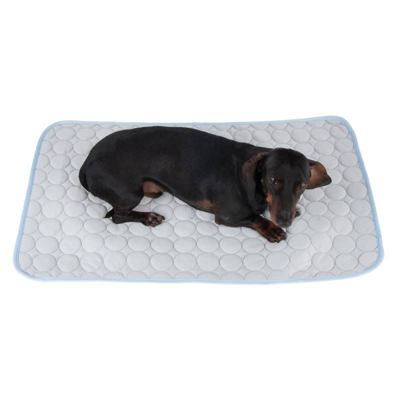 Kühldecke Bubbles - L 90 x B 50 cm von zooplus Exclusive