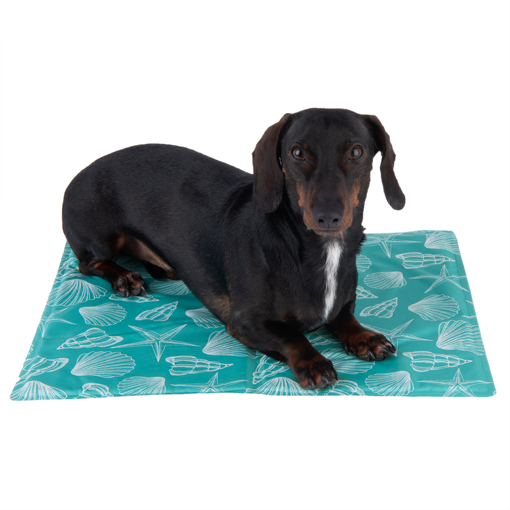 Kühlmatte Bondi - L 40 x B 50 cm Kühlmatte Bondi - L 40 x B 50 cm von zooplus Exclusive