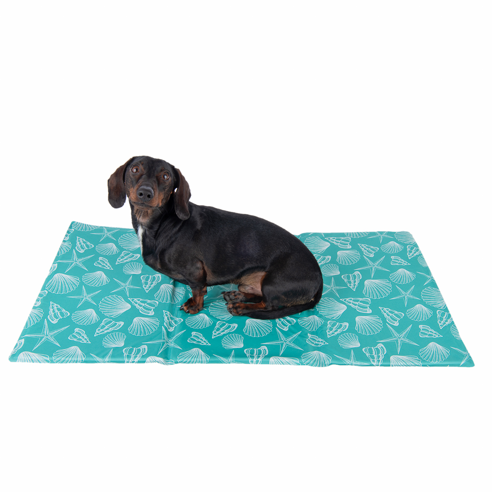 Kühlmatte Bondi - L 50 x B 90 cm Kühlmatte Bondi - L 50 x B 90 cm von zooplus Exclusive