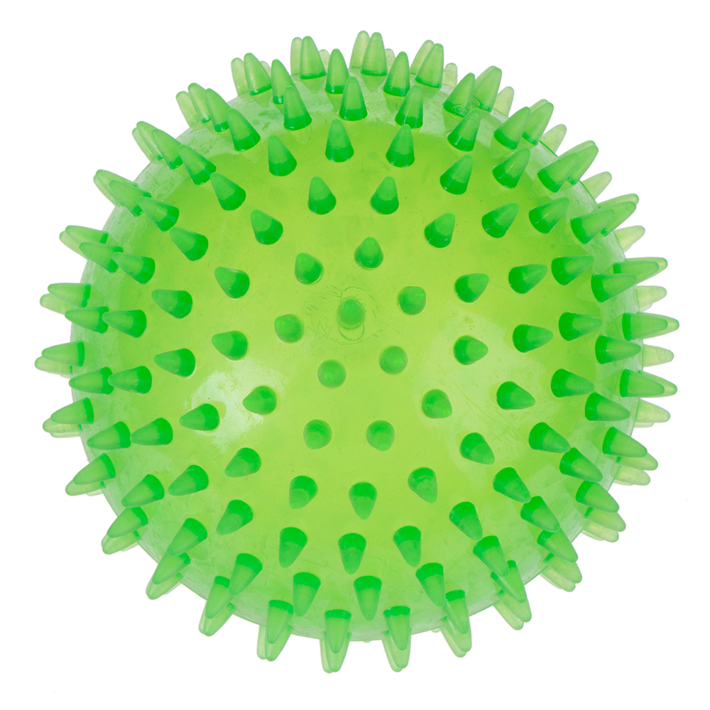TPR Spiky Ball large -  1 Stück (Ø 12 cm) von zooplus Exclusive