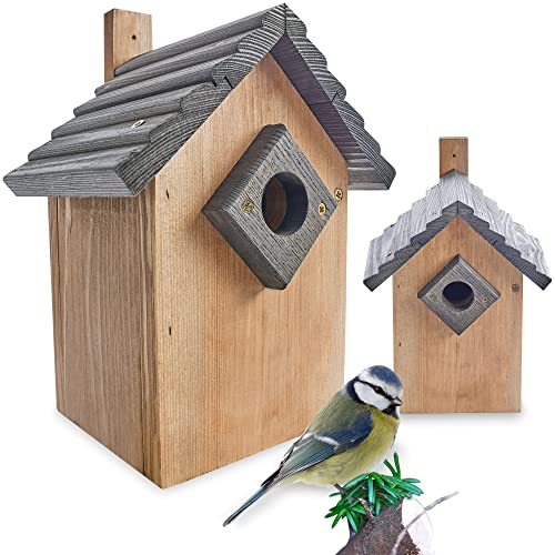 Stabiler Nistkasten für Wildvögel/Gartenvögel - mit sicherem Schutz gegen Nesträuber – witterungsbeständig und langlebig für draußen – Nistkasten von zooprinz