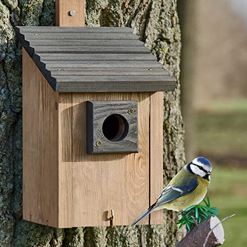 Zooprinz Nistkasten für Wildvögel – Massiv- Holz Vogelhäuschen mit sicherem Schutz gegen Nesträuber – Wetterfest zum aufhängen für draußen – 2 Farben zur Wahl (Nistkasten Braun) von zooprinz