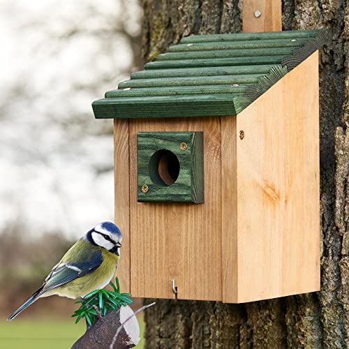 Zooprinz Nistkasten für Wildvögel – Massiv- Holz Vogelhäuschen mit sicherem Schutz gegen Nesträuber – Wetterfest zum aufhängen für draußen – 2 Farben zur Wahl (Nistkasten Grün) von zooprinz