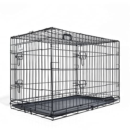 zooprinz Faltbare Hundebox aus stabilem Eisen – Hundekäfig mit 2 Türen – inklusive Bodenschale für deinen Hund – mit Transportgriff – in 4 Größen verfügbar ((M) 76 x 49 x 54 cm) von zooprinz