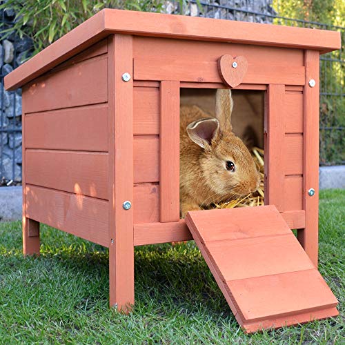 zooprinz großes Kleintierhaus mit klappbarem Dach – perfekt für draußen und drinnen – Besonders einfach umgestellt – Nagerhaus aus Vollholz mit natürlicher Farbe gestrichen - Hasenhaus Kaninchen Haus zooprinz großes Kleintierhaus mit klappbarem Dach – perfekt für draußen und drinnen – Besonders einfach umgestellt – Nagerhaus aus Vollholz mit natürlicher Farbe gestrichen - Hasenhaus Kaninchen Haus von zooprinz
