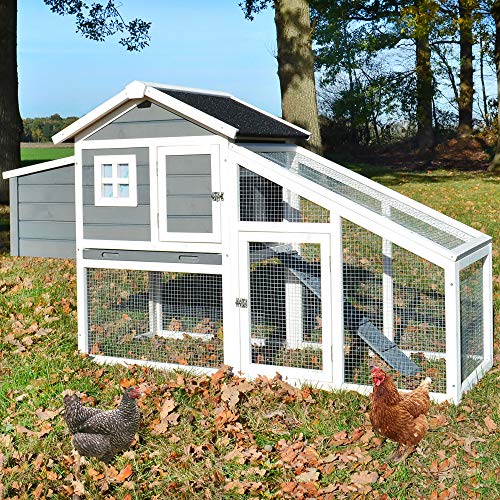 zooprinz moderner Hühnerstall mit Nistkasten - aus Vollholz und stabilem Draht - Hühnerhaus schnell zu reinigen - witterungsbeständig Dank hochwertiger Lasur Hühnervoliere zooprinz moderner Hühnerstall mit Nistkasten - aus Vollholz und stabilem Draht - Hühnerhaus schnell zu reinigen - witterungsbeständig Dank hochwertiger Lasur Hühnervoliere von zooprinz