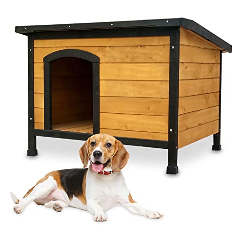 zooprinz wetterfeste Hundehütte Carlo massivem Holz und Dach zum Öffnen - perfekt für draußen - mit umweltfreundlicher Farbe gestrichen - 3 Größen zur Wahl (Hundehütte L) von zooprinz