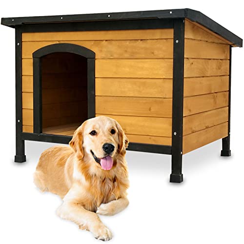 zooprinz wetterfeste Hundehütte Carlo massivem Holz und Dach zum Öffnen - perfekt für draußen - mit umweltfreundlicher Farbe gestrichen - 3 Größen zur Wahl (Hundehütte XL) von zooprinz