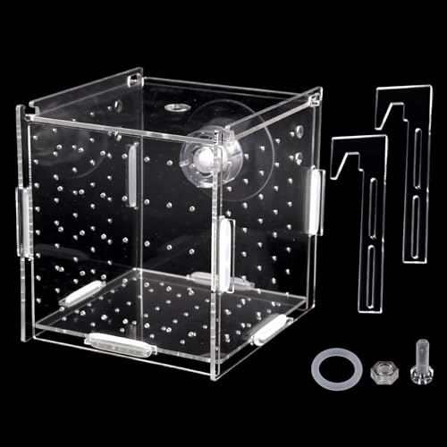 10 × 10 × 10cm Acryl Isolationsbox Aquarium, Transparent Fischzuchtbox Klein, Reptilien Fütterungsbox, Aquarienfisch Zuchtbox mit Luftlöcher, Acryl Brutkasten Tank mit Saugnäpfen, für Garnelen Guppy 10 × 10 × 10cm Acryl Isolationsbox Aquarium, Transparent Fischzuchtbox Klein, Reptilien Fütterungsbox, Aquarienfisch Zuchtbox mit Luftlöcher, Acryl Brutkasten Tank mit Saugnäpfen, für Garnelen Guppy von zorvixal