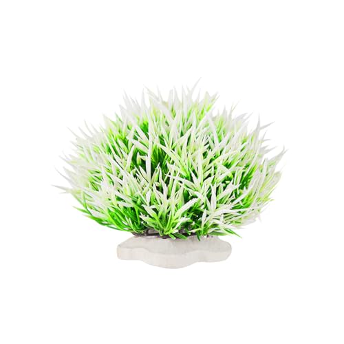 zuousxbs Fischtanks Landschaft Pflanzen Naturstile Hausdekoration Landschaft Ornamente Für Wohnzimmerbüros Und Hotel Gewerbefläche Dekoration zuousxbs Fischtanks Landschaft Pflanzen Naturstile Hausdekoration Landschaft Ornamente Für Wohnzimmerbüros Und Hotel Gewerbefläche Dekoration von zuousxbs