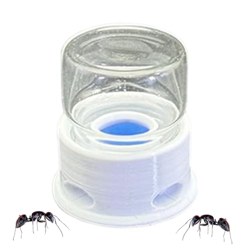 Ameisen-Futterspender Grillen Wasserstation Anti-Ertrinken Trinkschale, transparenter Trinkspender für Ameisen, , Grillen im Haus, Klassenzimmer, Terrarium im Freien, Haustier-Lebensraum Setup Ameisen-Futterspender Grillen Wasserstation Anti-Ertrinken Trinkschale, transparenter Trinkspender für Ameisen, , Grillen im Haus, Klassenzimmer, Terrarium im Freien, Haustier-Lebensraum Setup von zwxqe